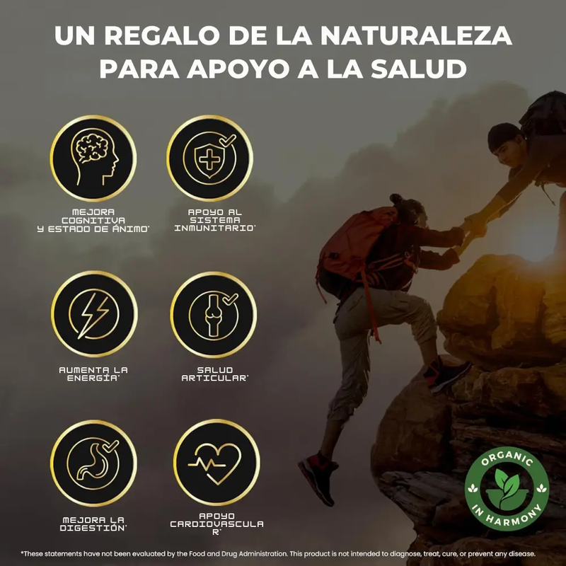 GOMAS SHILAJIT x 180g -MEGA OFERTA